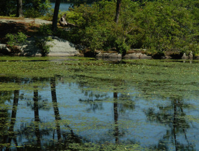 ir-080716_0012_LakeAskoti_8x10L_PS.jpg