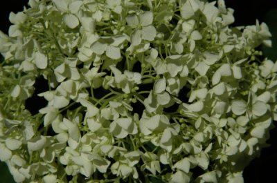 ir-20030630_2627.jpg