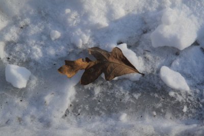 ir-091224_15-19_0617.jpg
