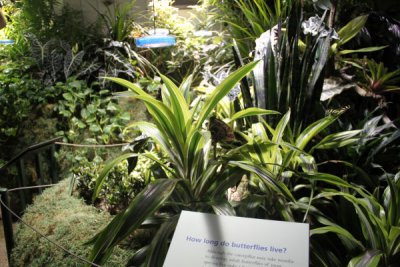 ir-100119_12-39_1040.jpg