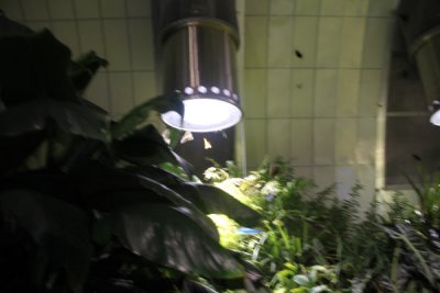 ir-100119_12-43_1048.jpg