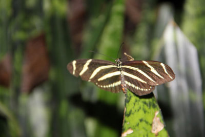 ir-100119_12-46_1054.jpg