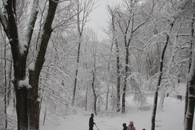 ir-100226_10-59_2179.jpg