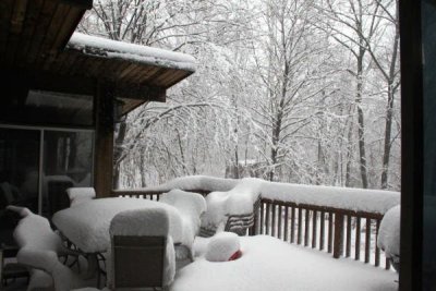 ir-100226_11-02_2186.jpg