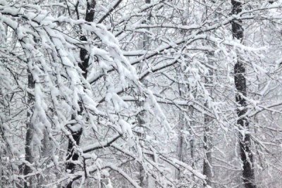 ir-100226_11-04_2191.jpg