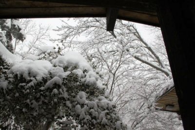 ir-100226_11-06_2196.jpg