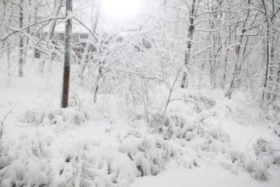 ir-100226_11-10_2200.jpg
