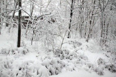 ir-100226_11-10_2201.jpg