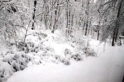 ir-100226_11-10_2202.jpg