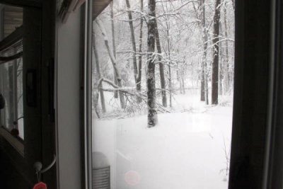 ir-100226_11-10_2204.jpg