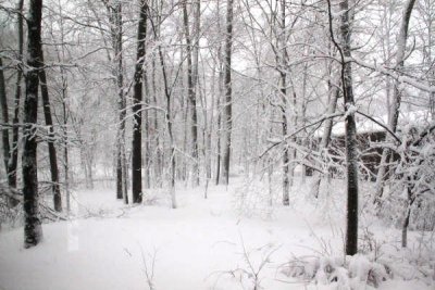 ir-100226_11-11_2205.jpg