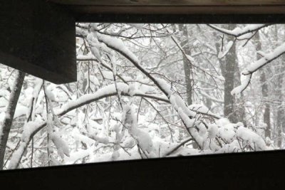 ir-100226_11-12_2206.jpg