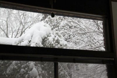 ir-100226_11-12_2207.jpg