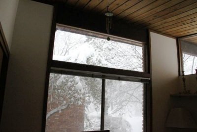 ir-100226_11-12_2208.jpg
