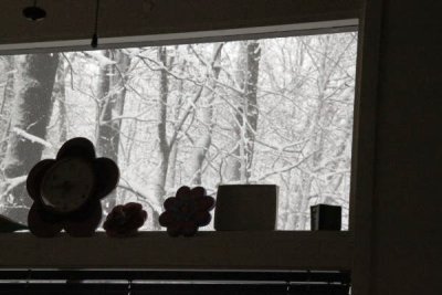 ir-100226_11-14_2210.jpg