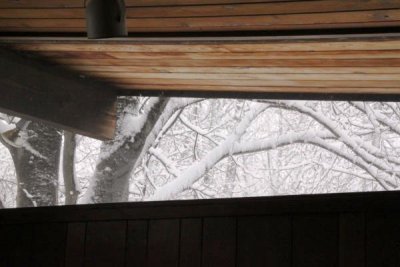 ir-100226_11-15_2213.jpg