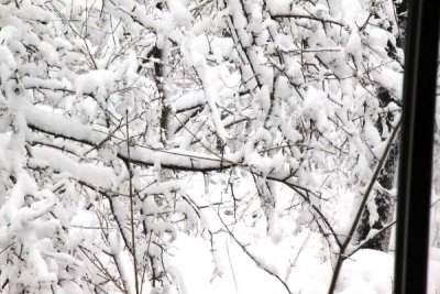ir-100226_11-17_2216.jpg