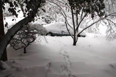 ir-100226_11-19_2218.jpg