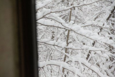 ir-100226_13-13_2224.jpg