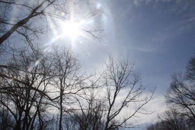 ir-100318-12_00-3250.jpg