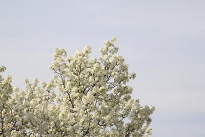 ir-100407_15_22_3701.jpg