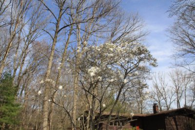 ir-100407_15_49_3704.jpg