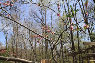 ir-100412_11-36_3851.jpg