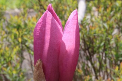 ir-100412_11-57_3873.jpg