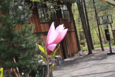 ir-100412_12-01_3879.jpg
