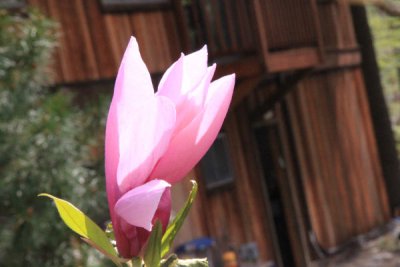 ir-100412_12-01_3880.jpg