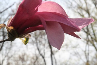 ir-100412_12-02_3881.jpg