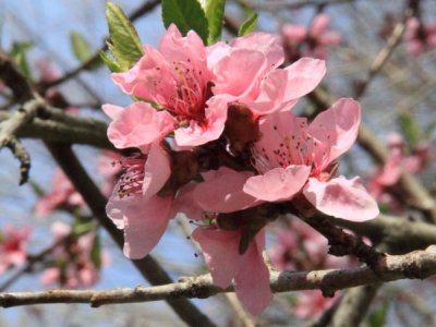 ir-100412_11-33_3844_4x3.jpg