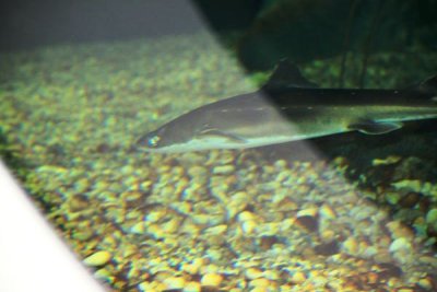 ir-100428_12-15_4349.jpg