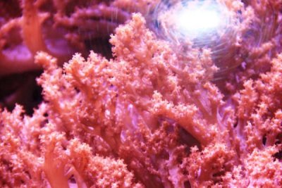 ir-100428_12-38_4394.jpg