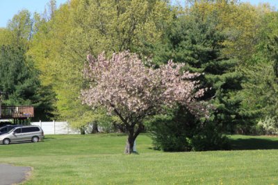 ir-100429_15-32_4441.jpg