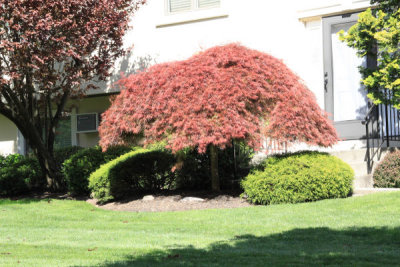 ir-100429_15-42_4445.jpg