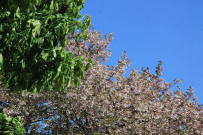 ir-100429_15-58_4450.jpg