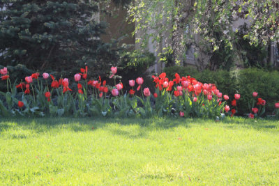 ir-100429_16-02_4452.jpg
