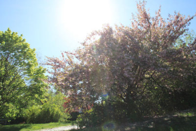 ir-100429_16-03_4455.jpg