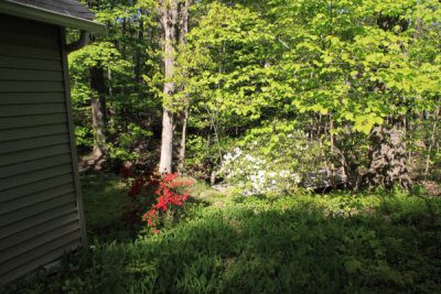ir-100429_16-23_4458.jpg