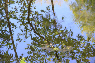 ir-100429_16-26_4462.jpg