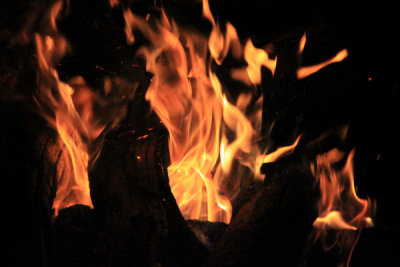 ir-100501_22-30_4551.jpg
