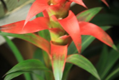 ir-100505_13-24_4722.jpg