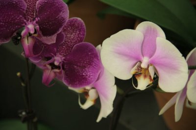 ir-100505_13-25_4723.jpg