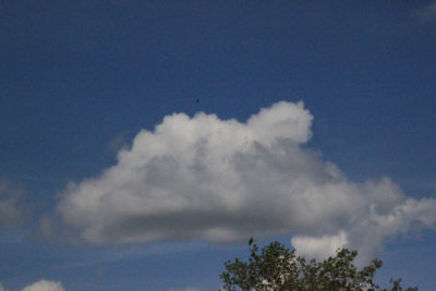 ir-100516_13-17_4845.jpg