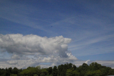 ir-100516_13-19_4848.jpg