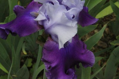 ir-100517_16-32_4881.jpg