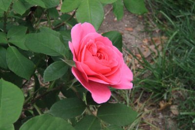 ir-100517_16-37_4894.jpg