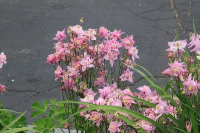 ir-100517_17-10_4907.jpg