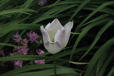 ir-100517_17-11_4908.jpg